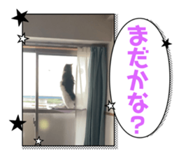 715133449