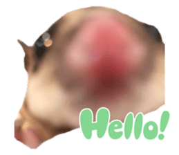 715136496