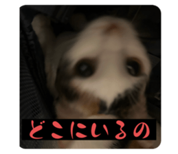 715140888
