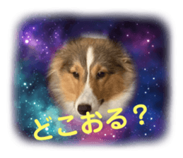 715155344