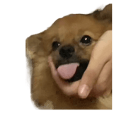 715156840