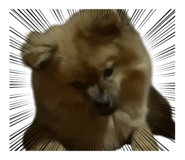 715156845