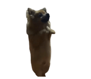 715156848