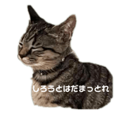 715248830