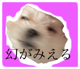 715254185