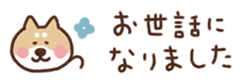 715258716