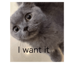 715269241