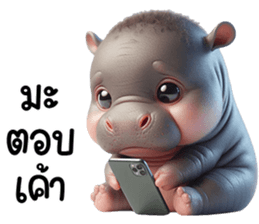 เจ้าหมูดุ้งฮิปโปน้อยน่ารัก รูปที่ 6