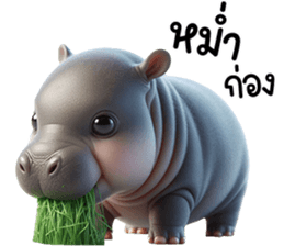 เจ้าหมูดุ้งฮิปโปน้อยน่ารัก รูปที่ 13