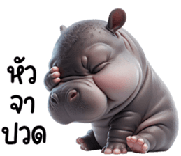 เจ้าหมูดุ้งฮิปโปน้อยน่ารัก รูปที่ 17