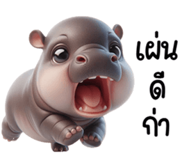 เจ้าหมูดุ้งฮิปโปน้อยน่ารัก รูปที่ 18