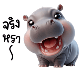 เจ้าหมูดุ้งฮิปโปน้อยน่ารัก รูปที่ 19