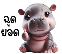เจ้าหมูดุ้งฮิปโปน้อยน่ารัก รูปที่ 20