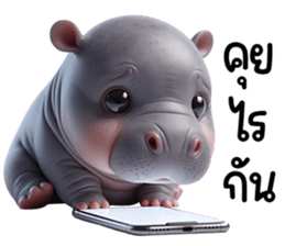 เจ้าหมูดุ้งฮิปโปน้อยน่ารัก รูปที่ 25