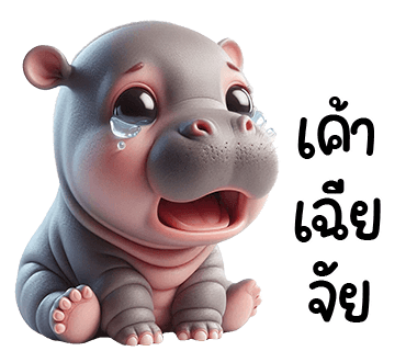 ลายที่ 28