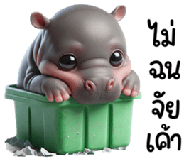 เจ้าหมูดุ้งฮิปโปน้อยน่ารัก รูปที่ 29