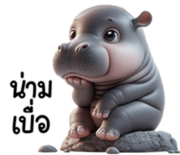 เจ้าหมูดุ้งฮิปโปน้อยน่ารัก รูปที่ 30