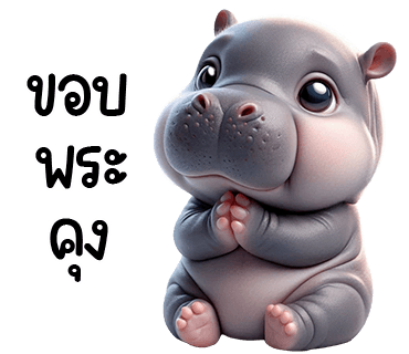 ลายที่ 31