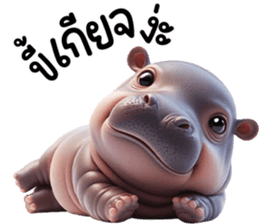 เจ้าหมูดุ้งฮิปโปน้อยน่ารัก รูปที่ 36