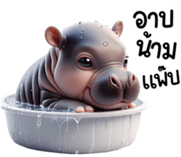 เจ้าหมูดุ้งฮิปโปน้อยน่ารัก รูปที่ 39