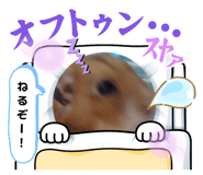 715295254