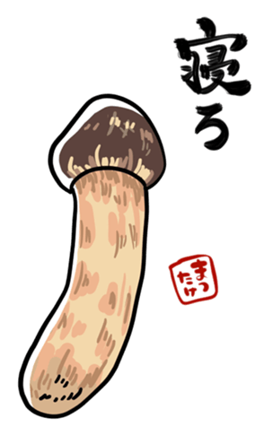 715304152
