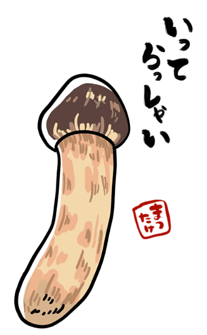 715304176