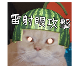 715309133