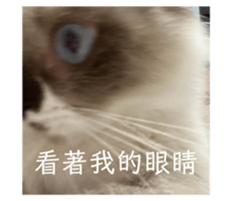 715330705