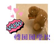 715335002
