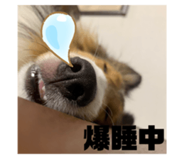 715335468