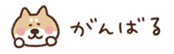 715351629