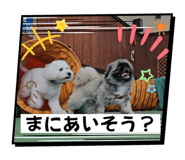 715368378