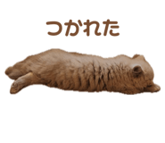 715374916