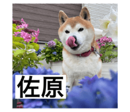 715376605