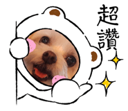 715409241
