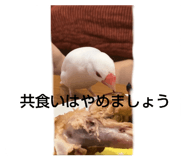 715426764