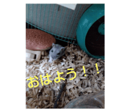 715426768