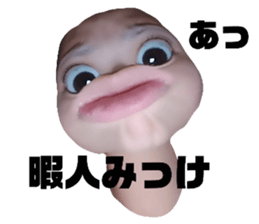 715434683