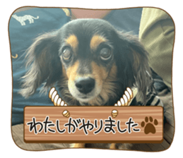 715460998