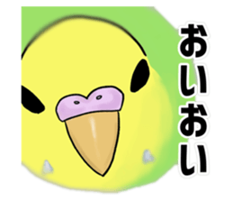 715466380