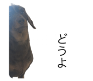 715476275