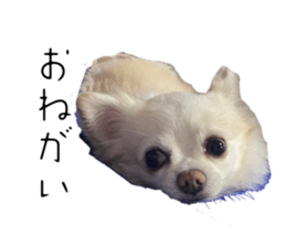 715487381