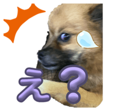 715487501