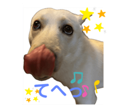 715508999