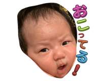 715536082