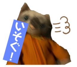 715544030