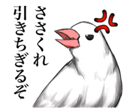 715575163