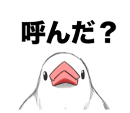 715575164