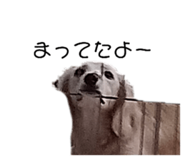 715612264
